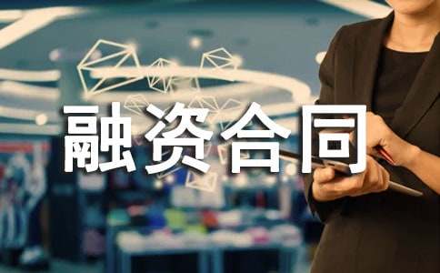 戰(zhàn)略性融資合同范本