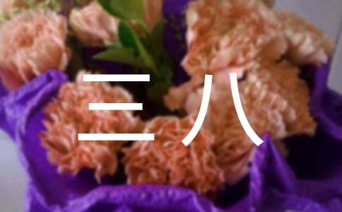 ��˾����ο����11ƪ