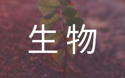 八年級(jí)生物工作計(jì)劃匯總七篇