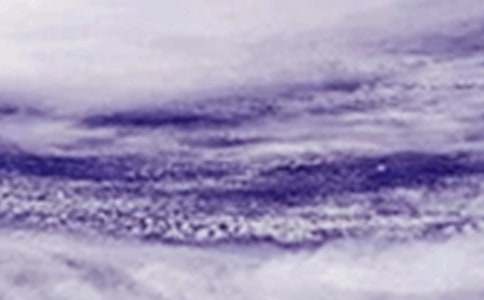 ���_(t��i)�L(f��ng)�������Y(ji��)ͨ��13ƪ