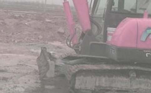 �ھ�C(j��)���U��ͬ���������x16ƪ��