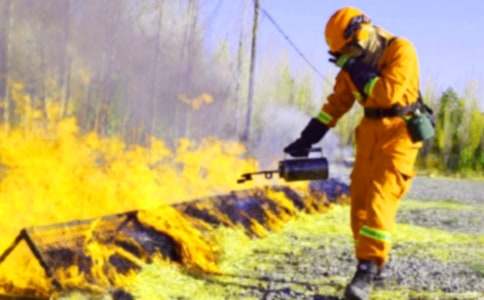 餐廳的消防安全承諾書