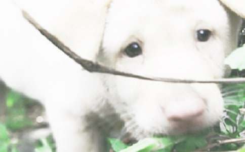 �P(gu��n)��С���Ľ��h��