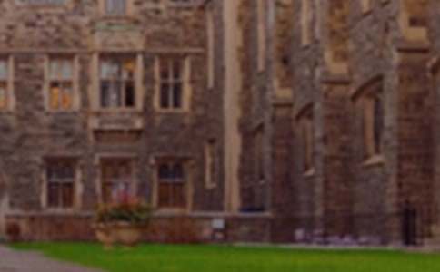 �R�S�̌WԺ�����Ո������