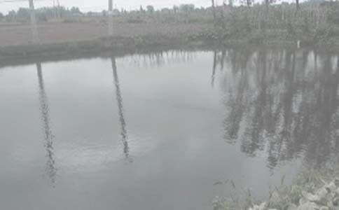 �~������f(xi��)�h��