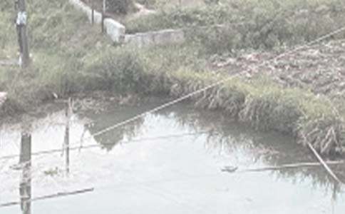 魚塘電表申請(qǐng)書如何寫 魚塘用電申請(qǐng)書怎么寫