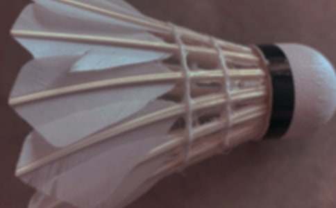 [����]��ë���Ӳ߄���