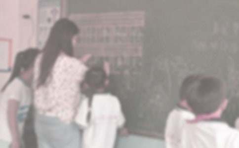 支教申請(qǐng)書精華12篇