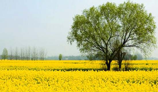 ���εĽ��h��(sh��)