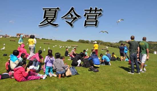 ��W(xu��)����I�W(xu��)����B��