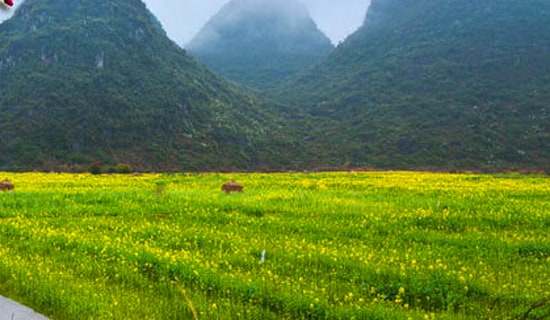【必備】春游的建議書三篇